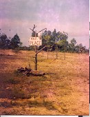 Bannana Ranch Belize